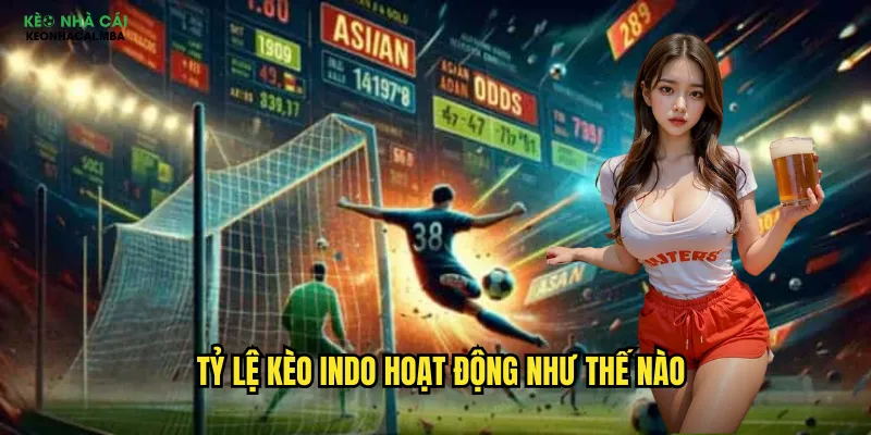 Tỷ Lệ Kèo Indo Keonhacai - Làm Chủ Cách Đọc Kèo Indonesia 2 Tỷ lệ kèo indo hoạt động như thế nào