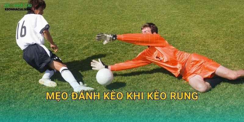 Mẹo Đánh Kèo Khi Kèo Rung - Bắt Sóng Thị Trường Tại Keo nha cai MBA 1 Mẹo Đánh Kèo Khi Kèo Rung – Bắt Sóng Thị Trường Tại Keo nha cai MBA